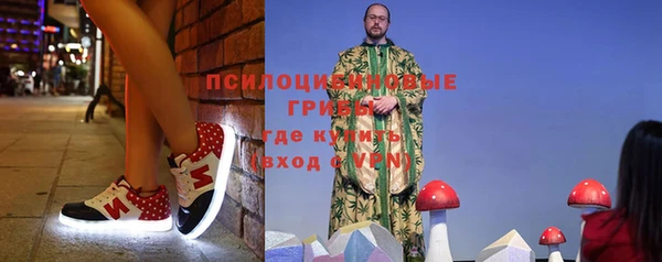 мяу мяу мука Абаза