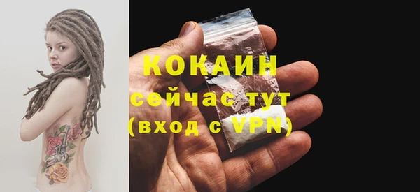 mdpv Протвино